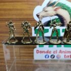 Caballeros Dorados santos de oro - Imagen 2