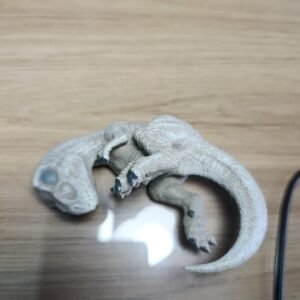 Embriones T-rex y velociraptor
