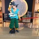 Goku maestro - Imagen 2