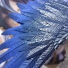 Albedo - Imagen 3