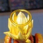 Gogueta aureola - Imagen 4